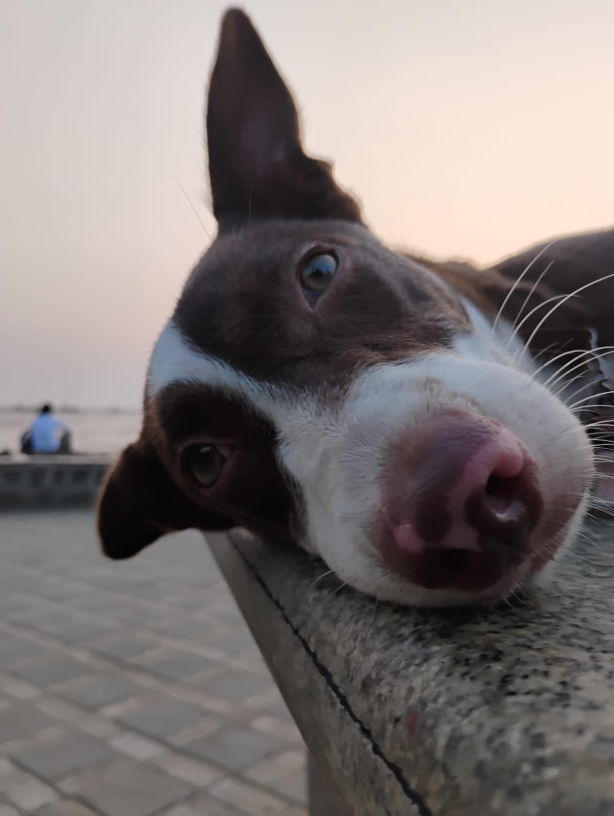 Demo test